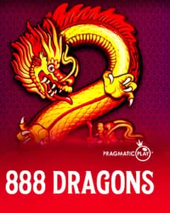 Segurança e Suporte 916 bet